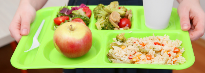 Pupil holding lunch tray with healthy food